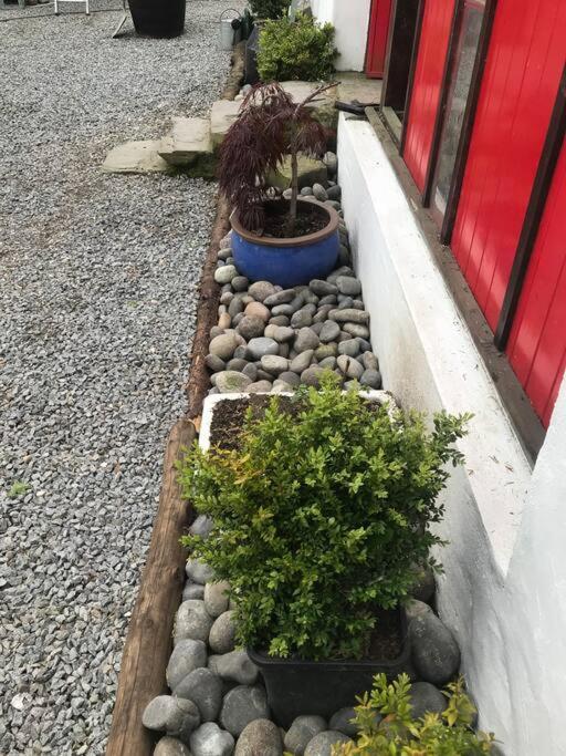 Stone Wall Cottage Castlewellan Εξωτερικό φωτογραφία